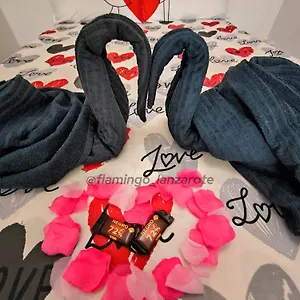 https://flamingo-studio-with-terrace-and-arrecife-lanzarote.in-canary-islands.com